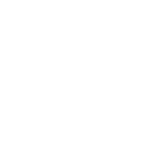 Logo BNP Paribas Blanc