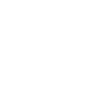 Logo CMACGM Blanc : Référence du cabinet PALMER conseil en management et organisation