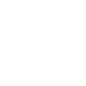 Logo Dior Blanc : Référence du cabinet PALMER conseil en management et organisation