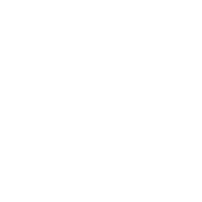 Logo Eurazeo Blanc : Référence du cabinet PALMER conseil en management et organisation