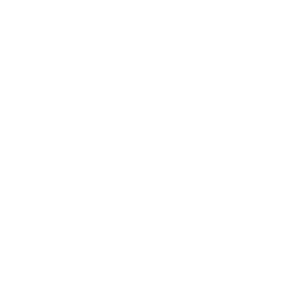 Logo France TV Blanc : Référence du cabinet PALMER conseil en management et organisation