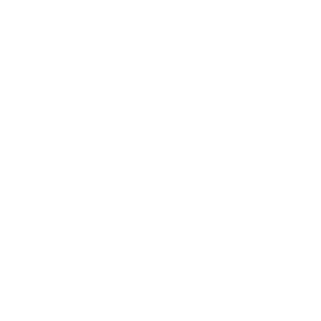 Logo Generali Blanc : Référence du cabinet PALMER conseil en management et organisation