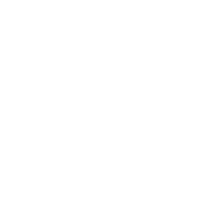 Logo Groupama Blanc : Référence du cabinet PALMER conseil en management et organisation