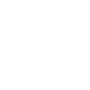 Référence PALMER : Logo BPCE Blanc