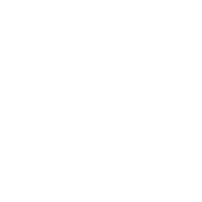 Référence PALMER : Logo LCL Blanc
