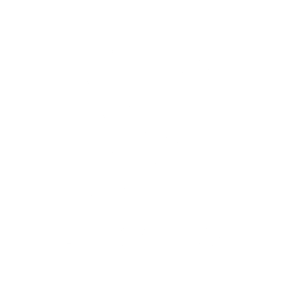 Référence PALMER : Logo Louis Vuitton Blanc