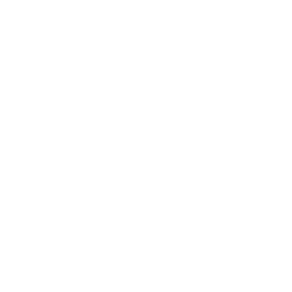 Référence PALMER : Logo MAIF Blanc