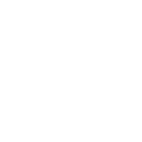 Référence PALMER : Logo Microsoft Blanc