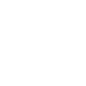 Référence PALMER : Logo Natixis