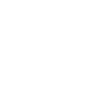 Référence PALMER : Logo Paris Aeroport Blanc