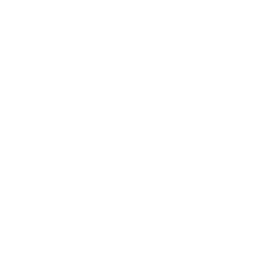Référence PALMER : Logo Société Générale Blanc